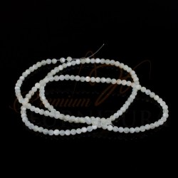 IMGP91013
